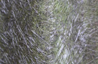 Rievaulx fibreglass roof work